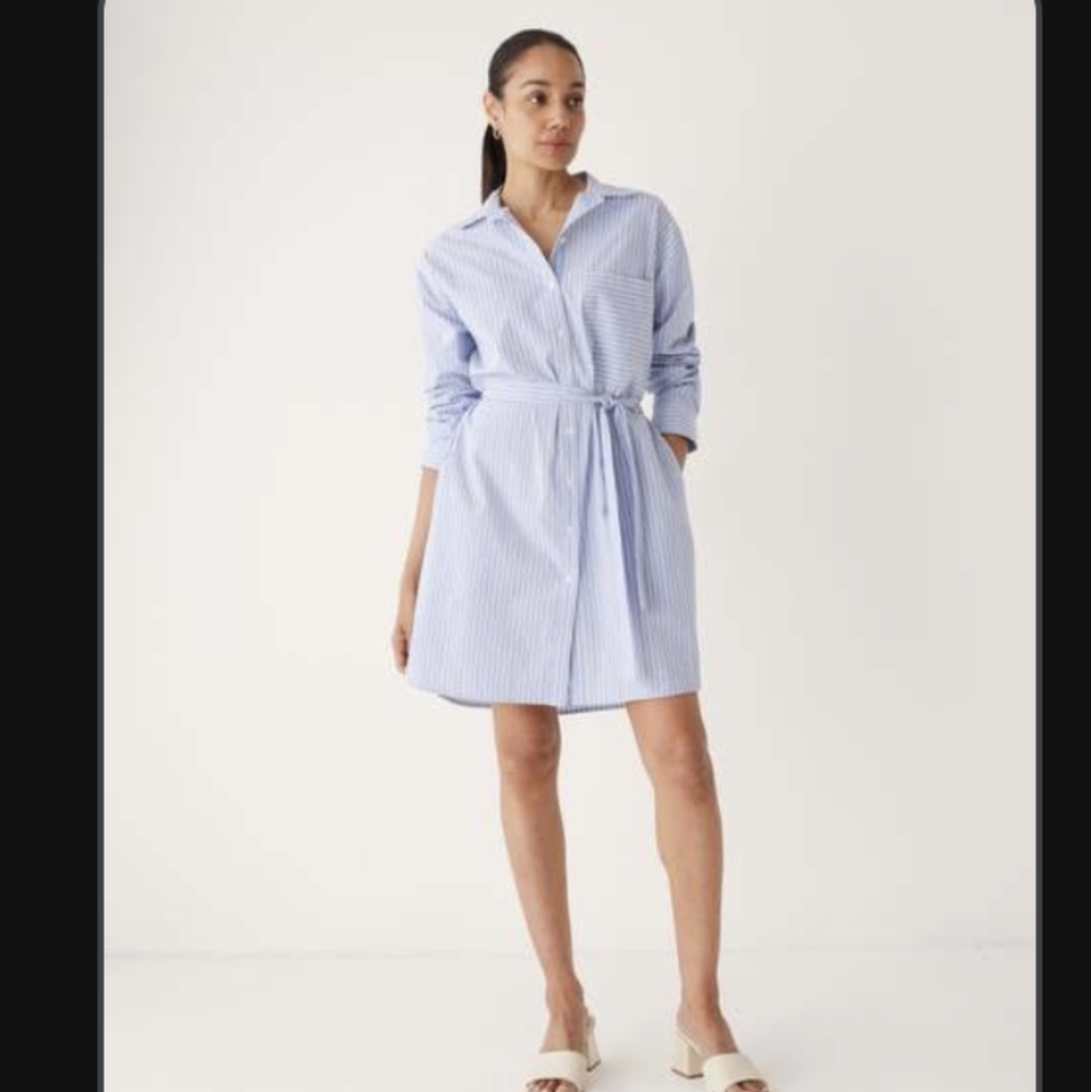 Frank and Oak Shirt Dress
